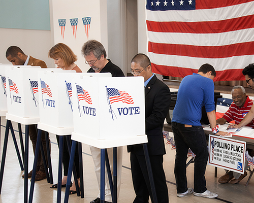 people standing in voting boxes